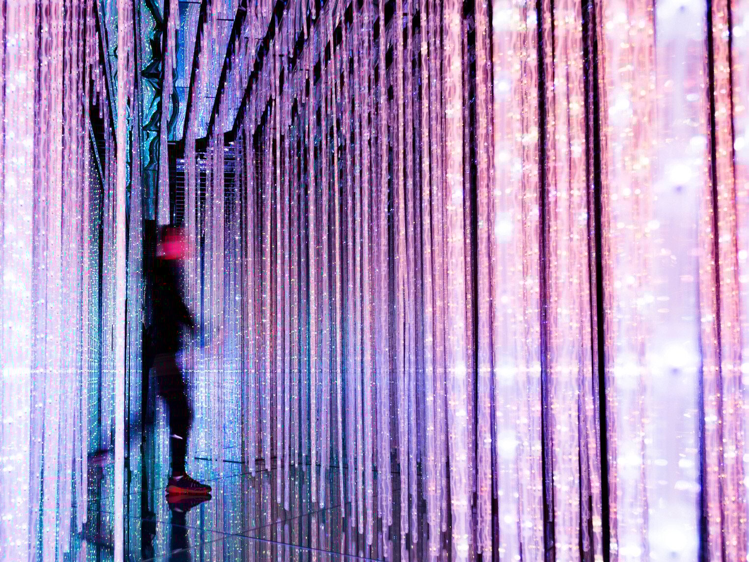 1218585444-4x3