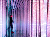 1218585444-4x3 1218585444-4x3