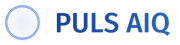 PULS AIQ Logo_AcronymHorizontalTransparent